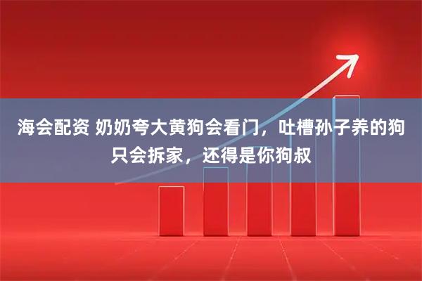 海会配资 奶奶夸大黄狗会看门，吐槽孙子养的狗只会拆家，还得是你狗叔
