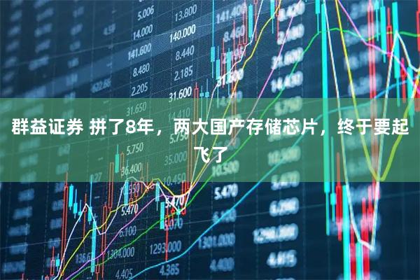 群益证券 拼了8年，两大国产存储芯片，终于要起飞了