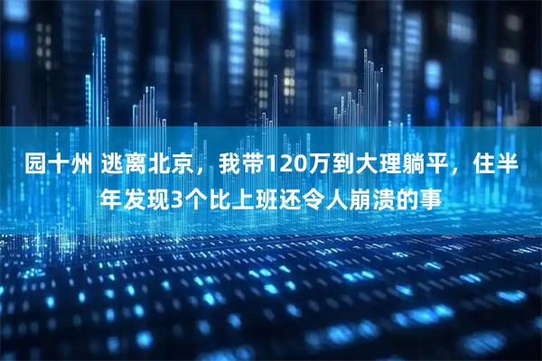 园十州 逃离北京，我带120万到大理躺平，住半年发现3个比上班还令人崩溃的事