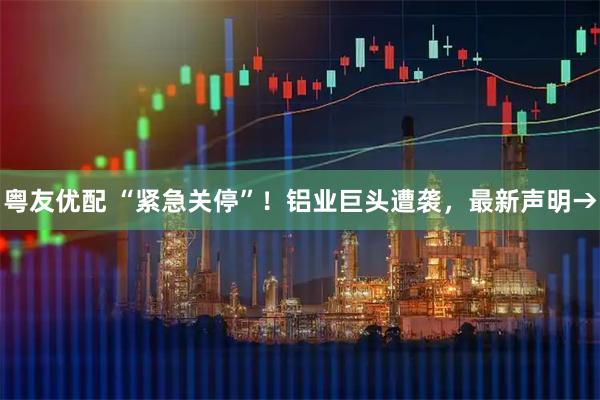 粤友优配 “紧急关停”！铝业巨头遭袭，最新声明→